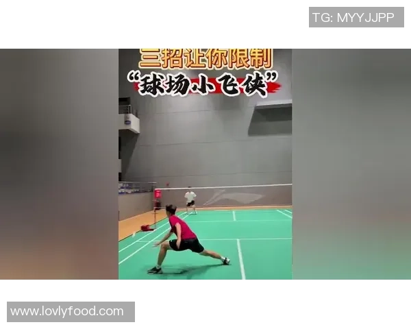 羽毛球战术解析：深入探讨北京羽毛球队的区域防守策略与技巧